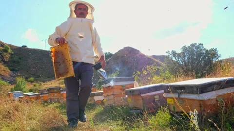 Beekeeper Walking Stock Footage 340649827