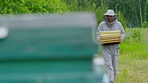 Beekeeper Walking with Honey Frames and Inspecting Beehives Video stock 79408406