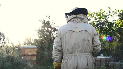 Beekeeper walking with a lot of bees around his head and an amazing sunset be Stock Footage