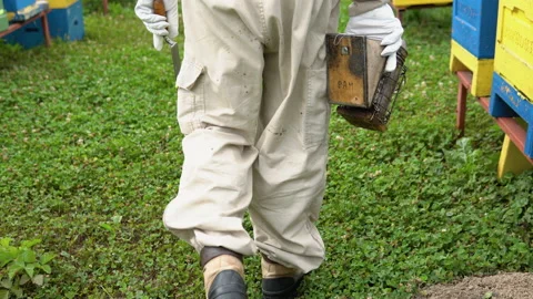 The beekeeper walking with old bee smoker on the apiary. Beekeeping concept Stock Footage 201691469