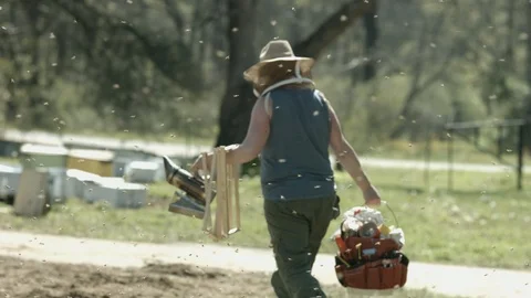 Beekeeper Walks across Bee Yard Stock Footage 91046381