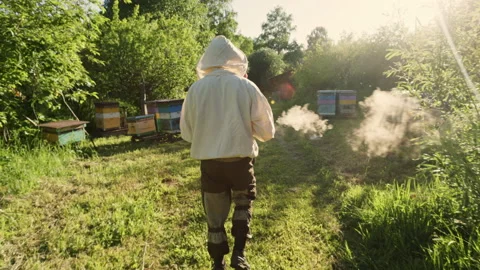 A beekeeper walks through the apiary Video stock 208335969
