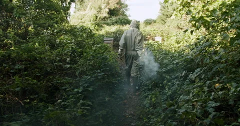 Beekeeper wearing protective gear walking through woods to apiary holding smoker Stock Footage 247784366