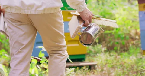 Beekeeper in white protective suit goes away from the camera towards the hives 库存影片 140411124