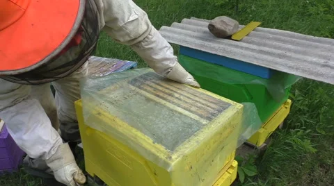 Beekeeper at work, beehive and frames Video stock 51172429
