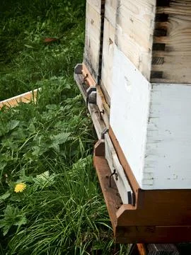 Beekeeper at work at the beehive Stock Photos