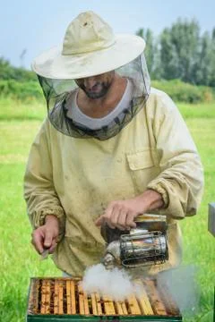 Beekeeper work on his hive Stock Photos