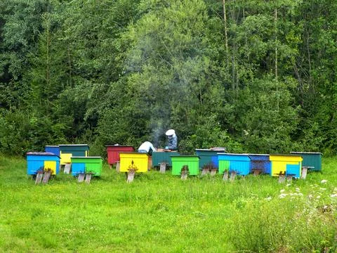 Beekeeper at Work Stock Photos