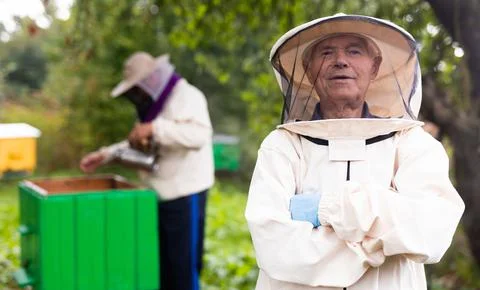 Beekeeper working in the apiary. Beekeeping concept. Beekeeper harvesting honey Stock Photos