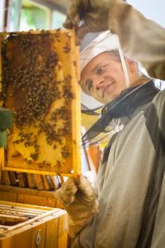 Beekeeper working in an apiary holding a frame of honeycomb cove Stock-Fotos