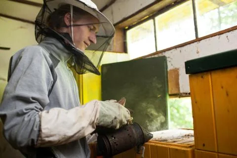 Beekeeper working in an apiary holding a frame of honeycomb cove Stock-Fotos