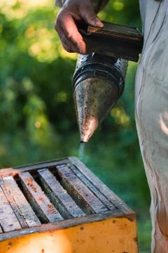 Beekeeper working in apiary Stock Photos