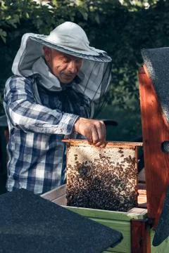 Beekeeper working in apiary Foto stock