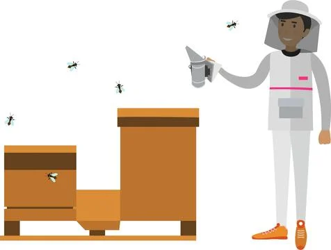 Beekeeper working in apiary vector icon isolated on white Stock Illustration