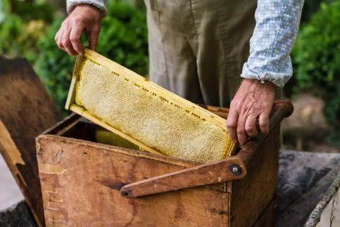 Beekeeper working on bee hive Stock Photos