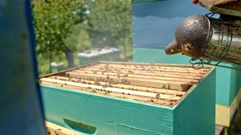 Beekeeper working with bee smoker Stock Footage 171558638