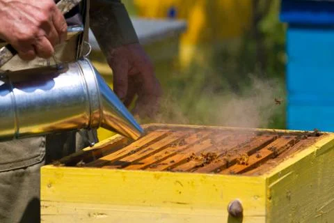 Beekeeper working on beehive Stock Photos