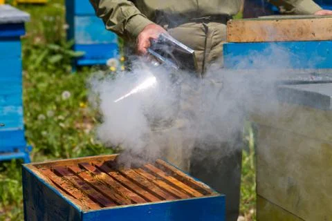 Beekeeper working on beehive Foto stock