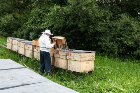 Beekeeper Working on Beehives Stock Photos