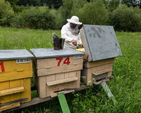 Beekeeper Working on Beehives Stock Photos