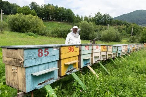 Beekeeper Working on Beehives Stock Photos