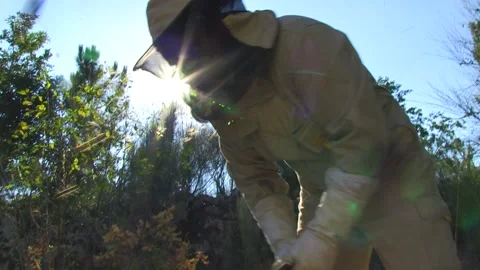 BEEKEEPER WORKING ON A BEEKEEPING PANEL WITH THE SUN BEHIND Stock Footage 95038754