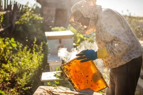 Beekeeper is working with bees and beehives on the apiary. Beekeeper on apiar Stock Photos