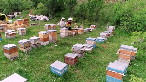 Beekeeper Working Stock Footage 340649177