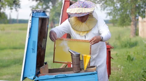 Beekeeper working in his apiary Video stock 42012399