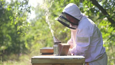Beekeeper working on his apiary in the forest, beekeeping concept 库存影片 253577912