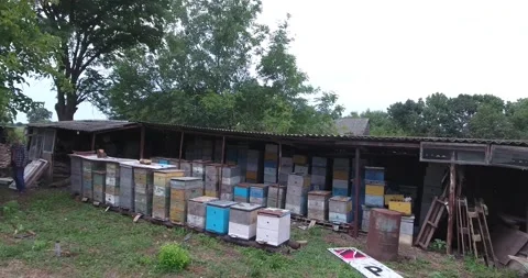 Beekeeper working in his land Stock-Footage 171087660