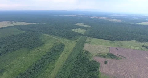 Beekeeper working in his land Stock-Footage 171089761