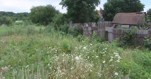 Beekeeper working in his land Stock-Footage 171090616