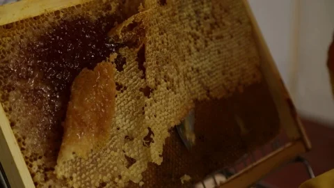 Beekeeper working Honeycombs Stock Footage 81925408