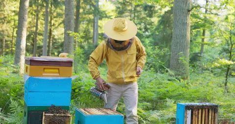 Beekeeper working in middle of forest by apiaries is dressed in a protective 動画素材 165011062