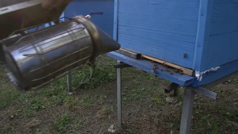Beekeeper working of a smoke pipe beeper smoker device Stock Footage 136267066
