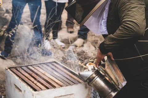 Beekeeper working with smoker at hive Stock Photos