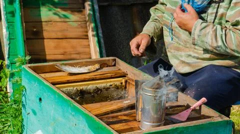 The beekeeper works in the apiary. Beehive and honey production. Stock Photos