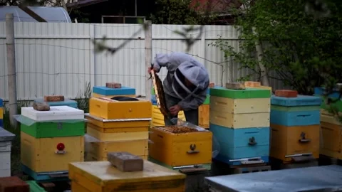 The beekeeper works in the apiary in the spring near the apple orchard during Stock Footage 168133038