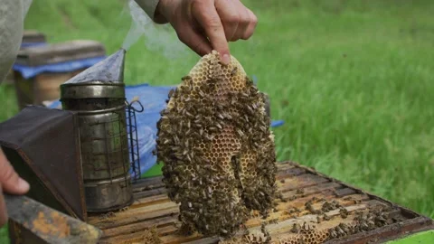 Beekeeper works on hive Stock Footage 138429045