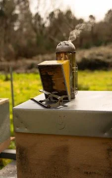 Beekeeper's Accessory Stock Photos