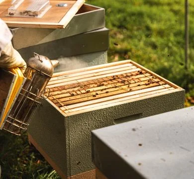 Beekeeper's Accessory Stock Photos