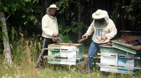 Beekeepers are engaged on the work near forest Stock Footage 53469024