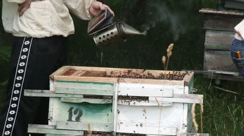 Beekeepers are engaged on the work near forest3 Stockbeeldmateriaal 53469236