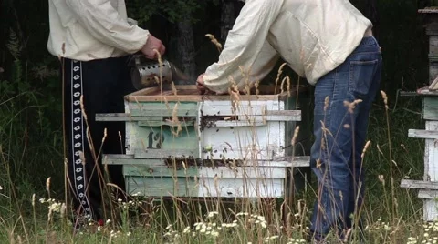 Beekeepers are engaged on the work near forest4 Stockbeeldmateriaal 53469329