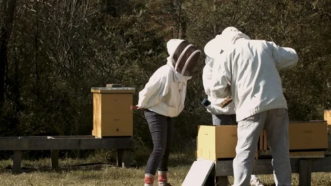 Beekeepers Checking Hives Stock Footage 91042062