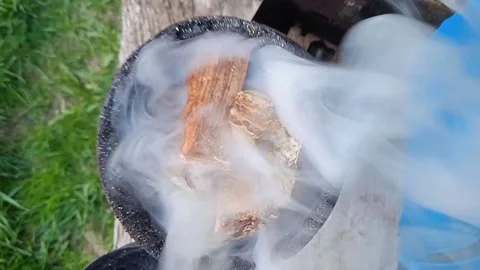 Beekeepers drive away bees with the help of smoke from burning dry mushrooms 스톡 동영상 154903148