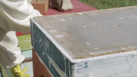 Beekeepers inspect the hives Stock Footage 162932953