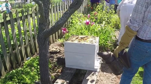 Beekeepers outting an active beehive back together Stock Footage 78252622