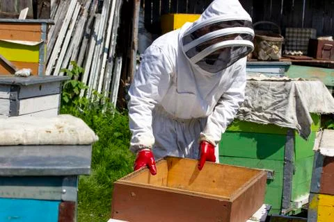Beekeepers work on apiaries with hives in special protective clothing Stock Photos